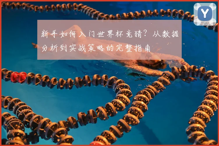 新手如何入门世界杯竞猜?从数据分析到实战策略的完整指南