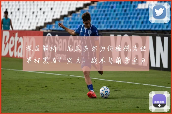 深度解析:厄瓜多尔为何被视为世界杯黑马?实力、战术与前景全分析